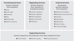 ecosystem chart, millenium assessment
